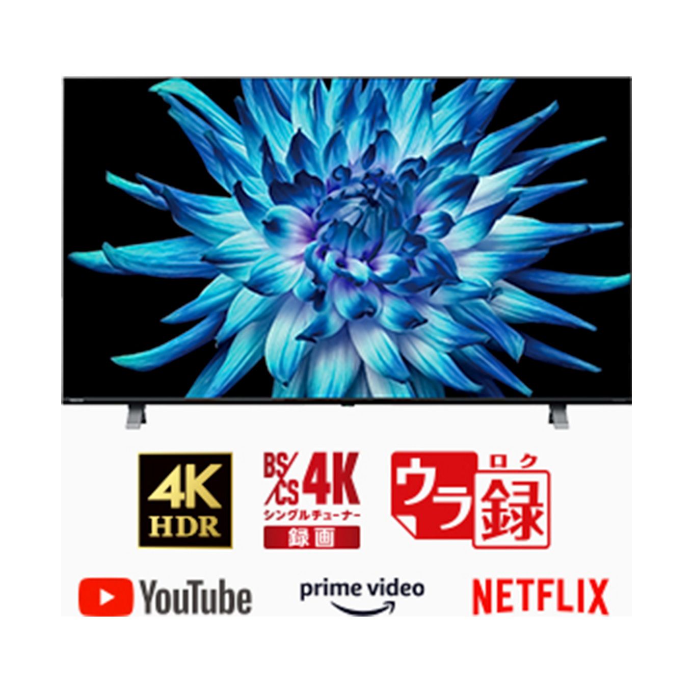 グリーン住宅ポイント液晶テレビ REGZA 43V型(4K対応/4Kチューナー内蔵/YouTube対応)イメージ