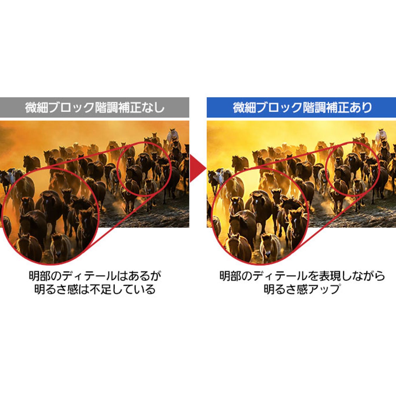 グリーン住宅ポイント有機ELテレビ VIERA 55V型(4K対応/4Kダブルチューナー内蔵/Youtube対応)イメージ