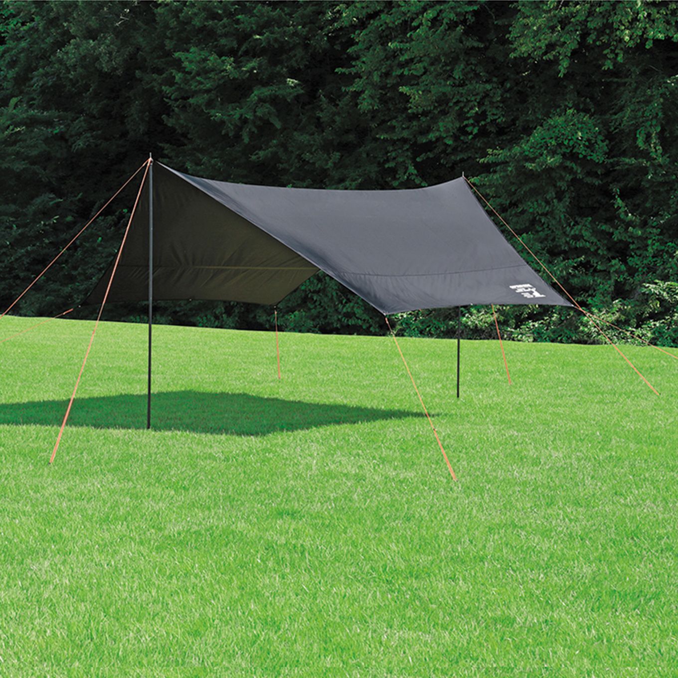 グリーン住宅ポイントCSブラックラベル ヘキサタープUVイメージ