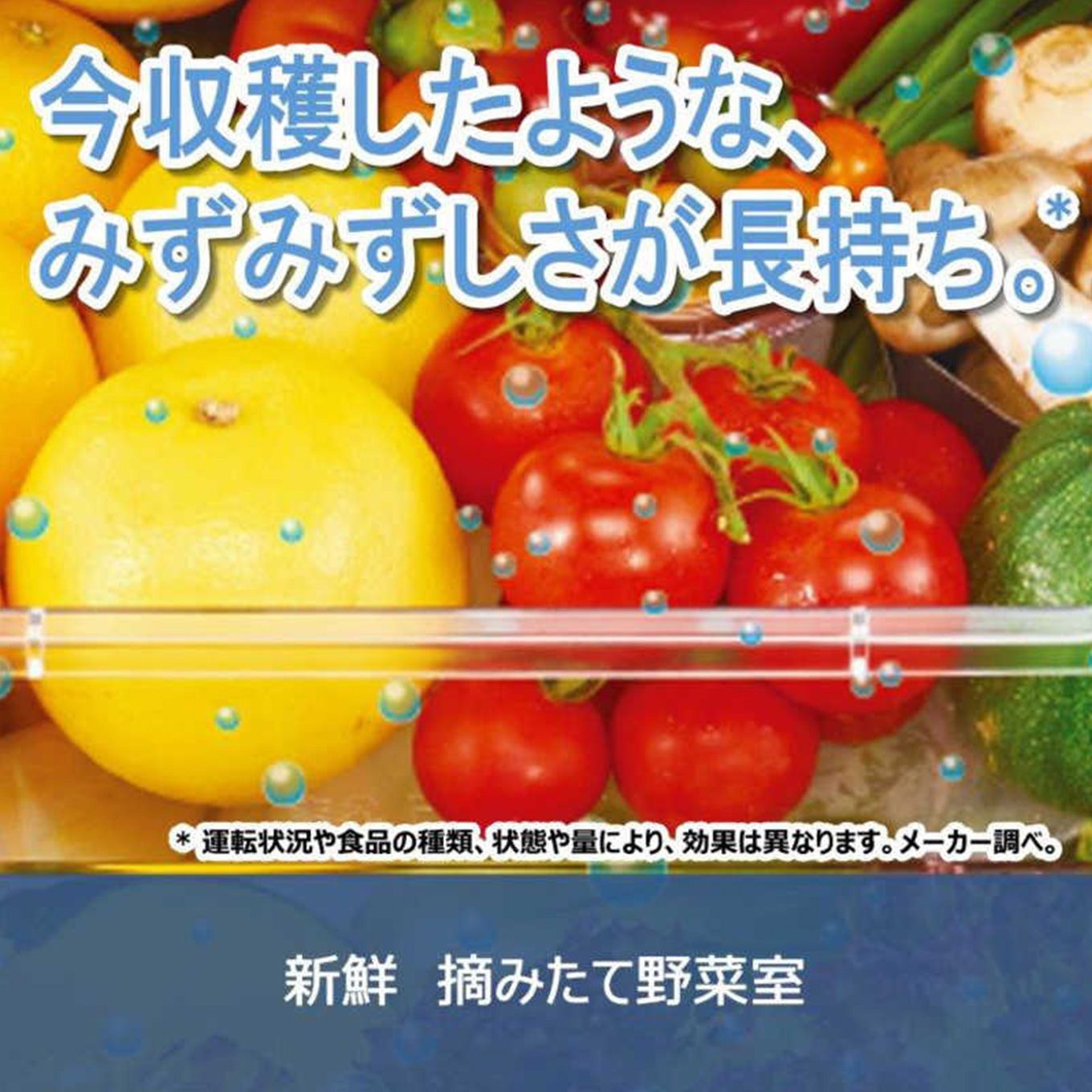 グリーン住宅ポイント6ドア冷蔵庫(フレンチドアタイプ/462L)イメージ