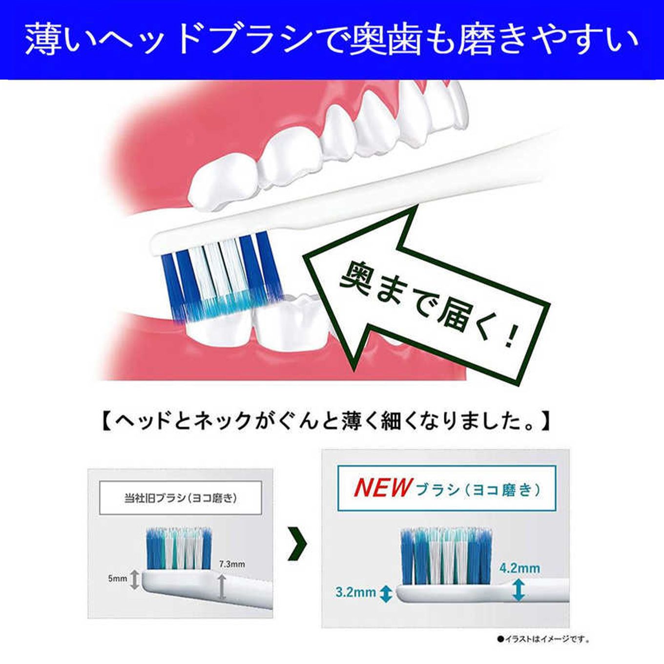 グリーン住宅ポイント電動歯ブラシ Doltz ドルツ EW-DP35(音波振動)イメージ