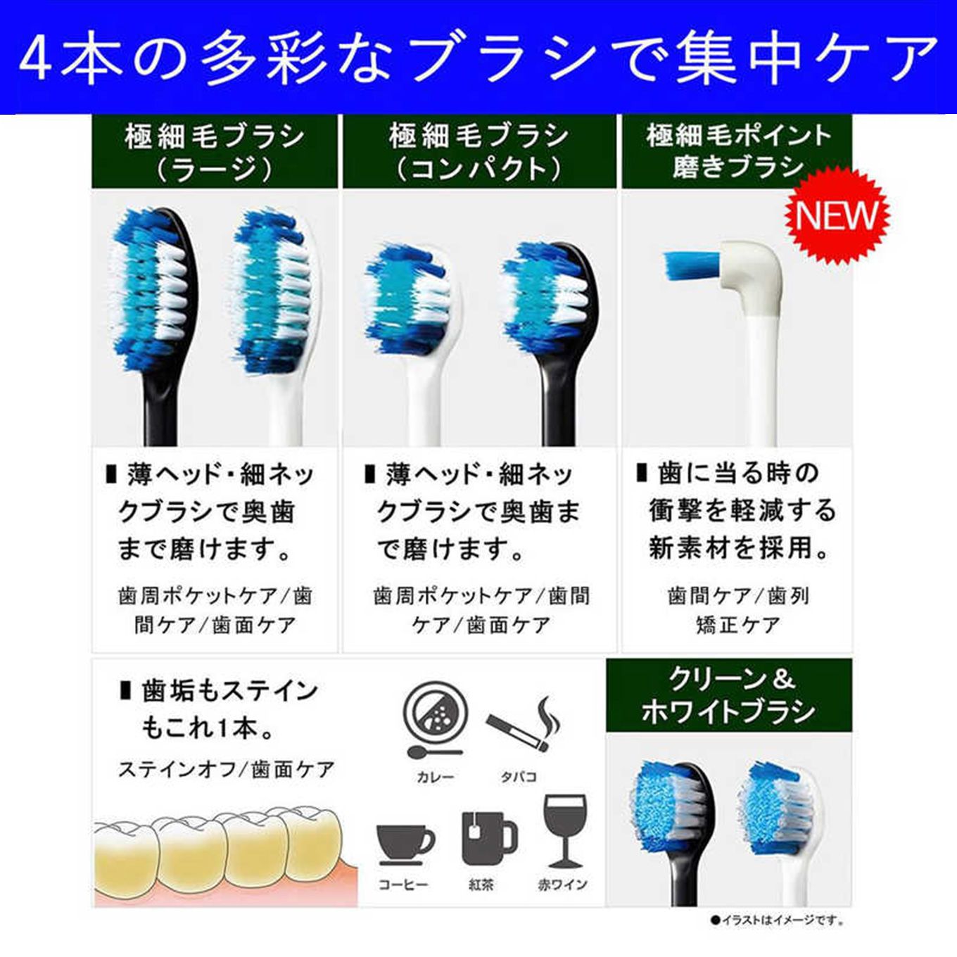 グリーン住宅ポイント電動歯ブラシ Doltz ドルツ EW-DP55(音波振動)イメージ