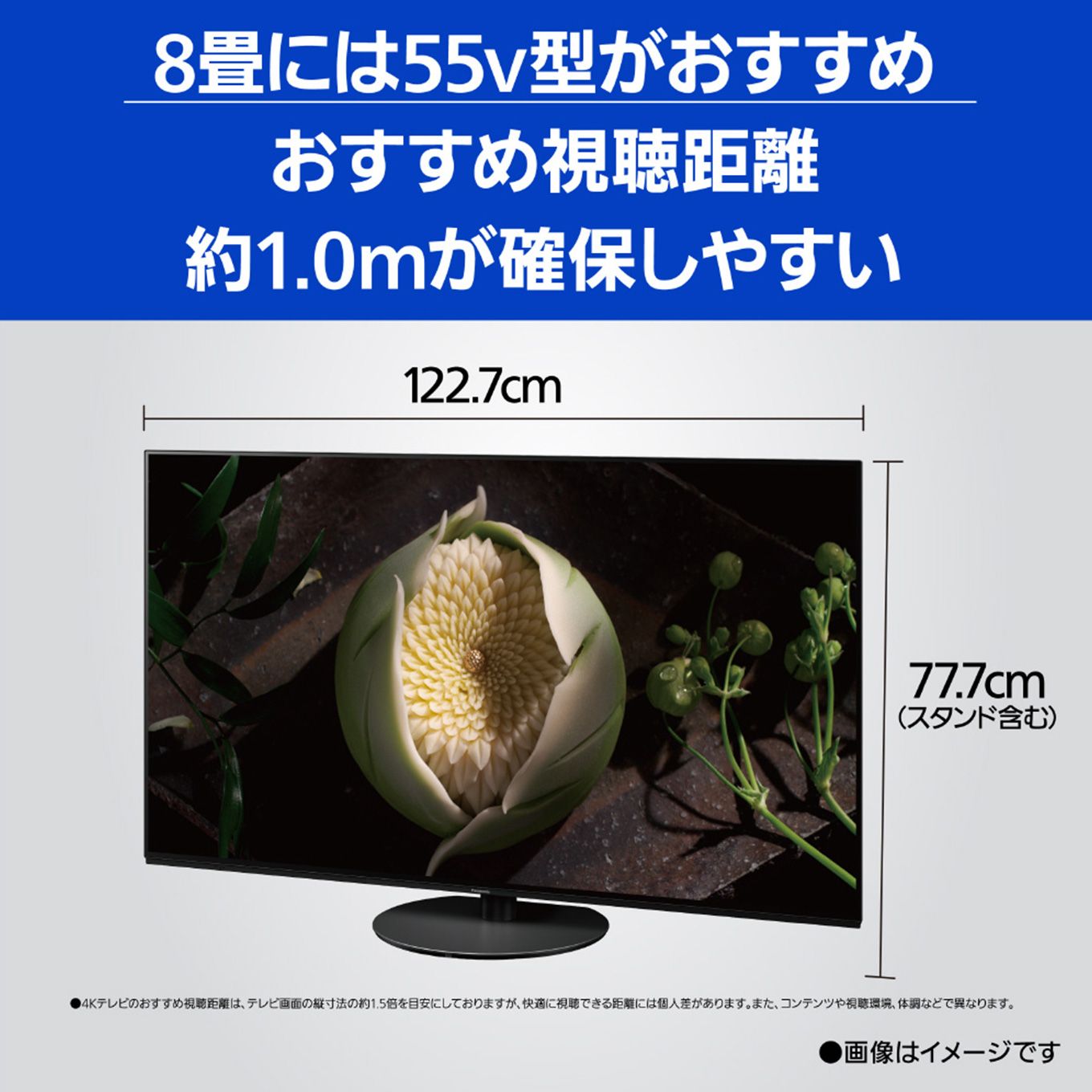 グリーン住宅ポイント有機ELテレビ VIERA 55V型イメージ