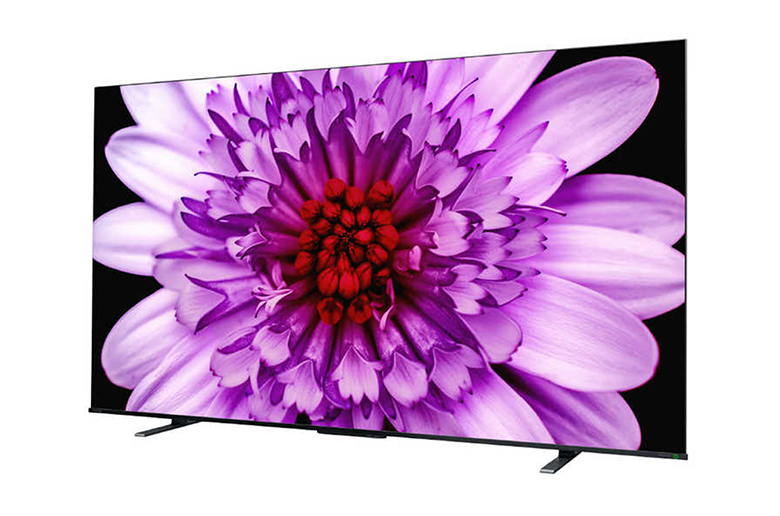 大画面ならではの
現実世界のような映像体験を!