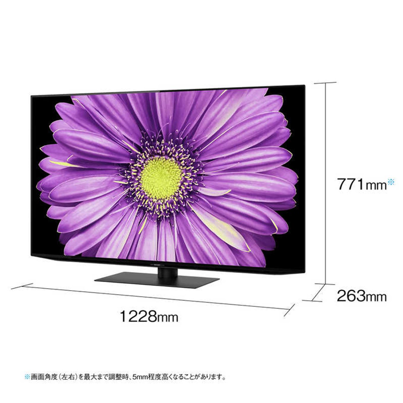 グリーン住宅ポイント4K対応有機ELテレビ AQUOS アクオス DQ2ライン 55V型 4T-C55DQ2イメージ