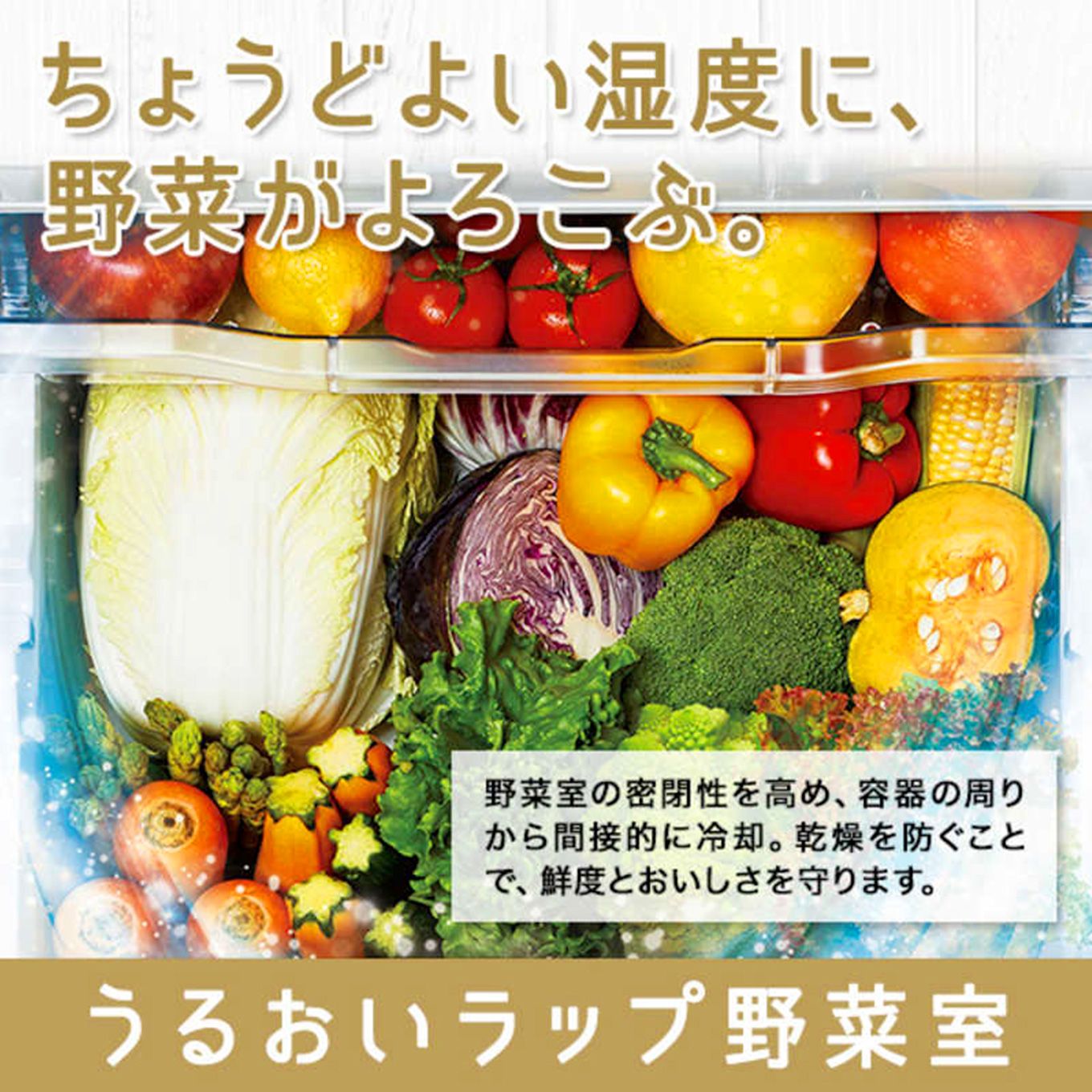 グリーン住宅ポイント3ドア冷蔵庫 VEGETA ベジータ(356L/右開き)GR-T36SVイメージ