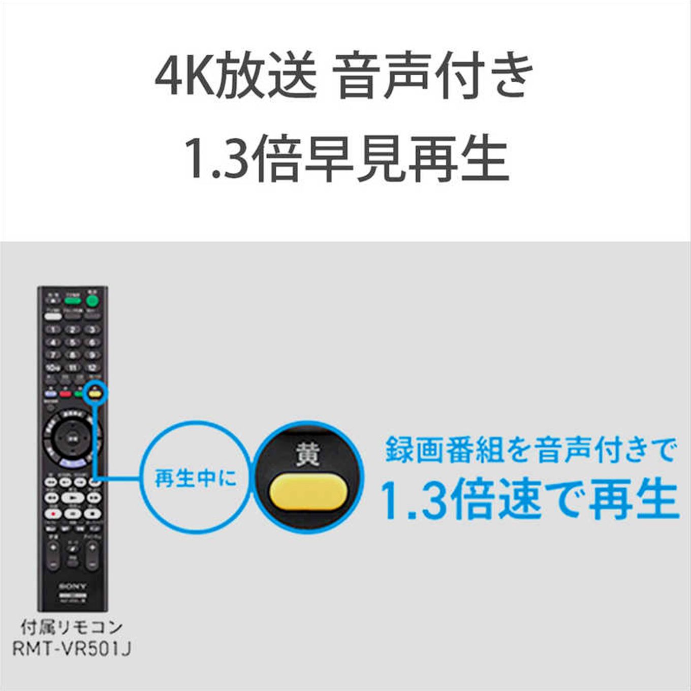 ソニー ブルーレイレコーダー 2TB BDZ-FBW2100（2番組同時録画