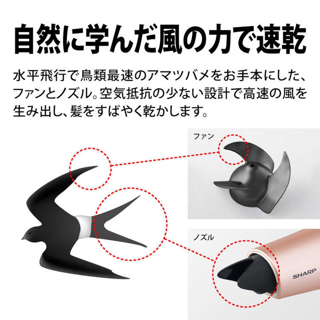 グリーン住宅ポイントプラズマクラスタードライヤー beaut´e A(ボーテアー)IB-NP9イメージ