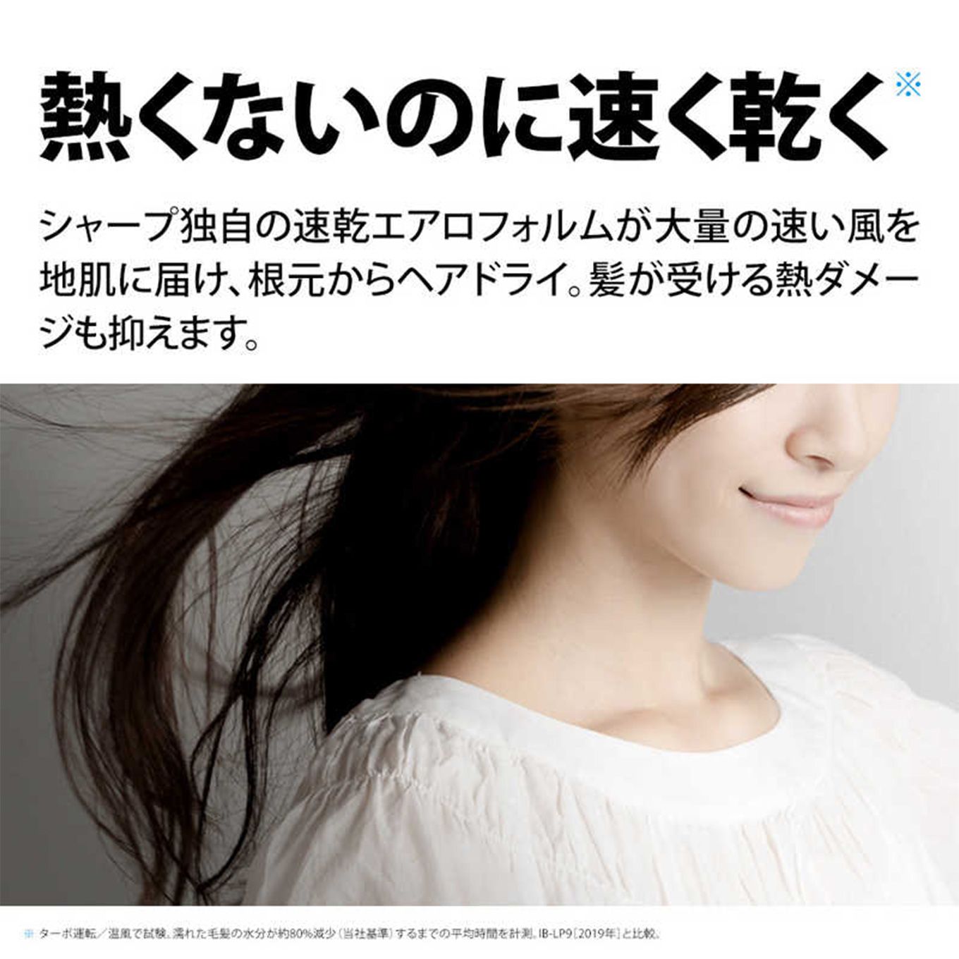 グリーン住宅ポイントプラズマクラスタードライヤー beaut´e A(ボーテアー)IB-NP9イメージ