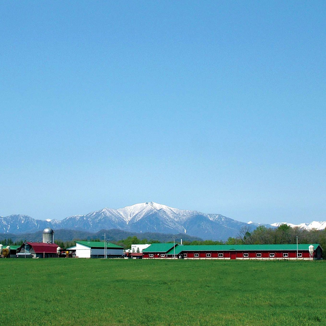 グリーン住宅ポイントおすすめチーズ・バター5種セットイメージ