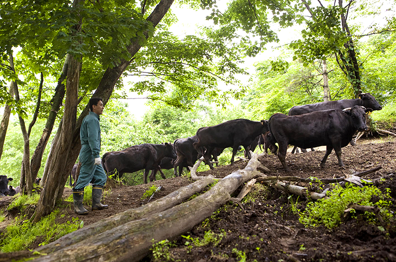 脂のさらりとした甘味と
赤身ののびやかな旨味が舌に刻まれる焼肉7種盛