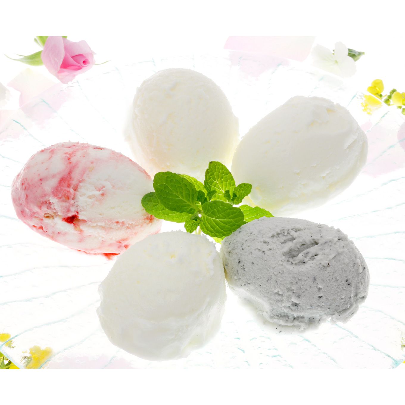 グリーン住宅ポイントカップアイス10個セットイメージ