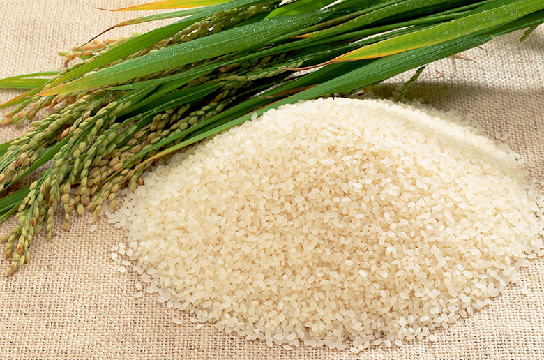 人気が高い魚沼産コシヒカリを
簡単便利に炊ける無洗米にしました