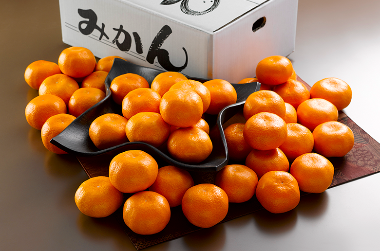 みかん栽培250年の歴史ある産地
静岡県三ヶ日から品質の高いみかんをお届け