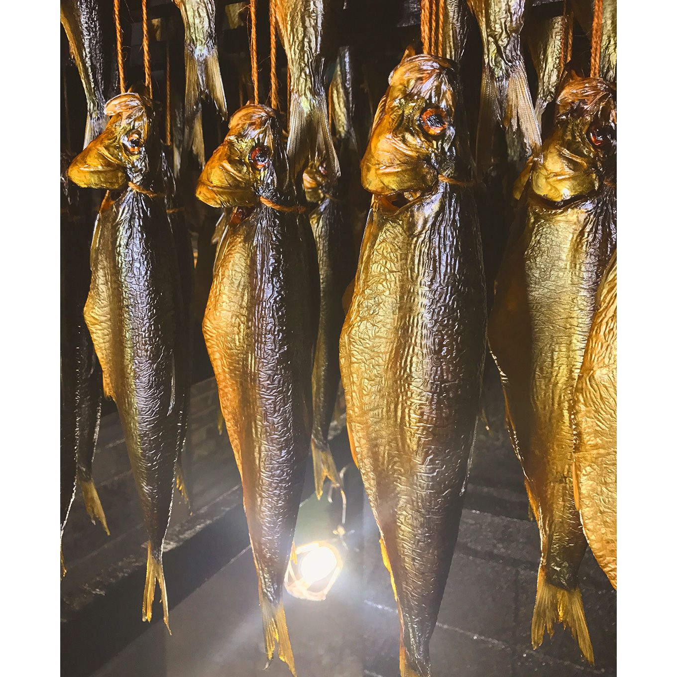 グリーン住宅ポイントにしん燻製セットイメージ