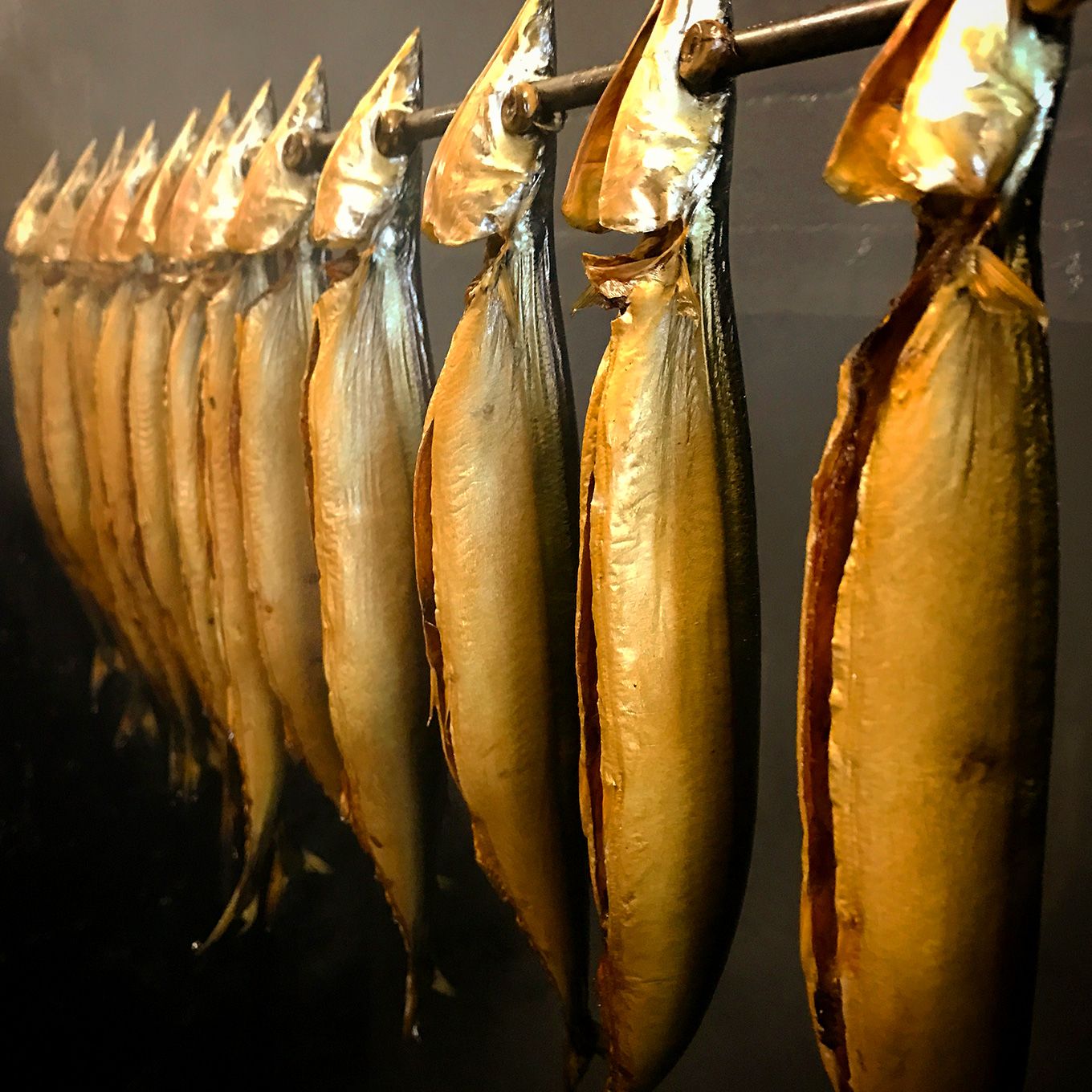 グリーン住宅ポイント南保留太郎特選4点セットイメージ