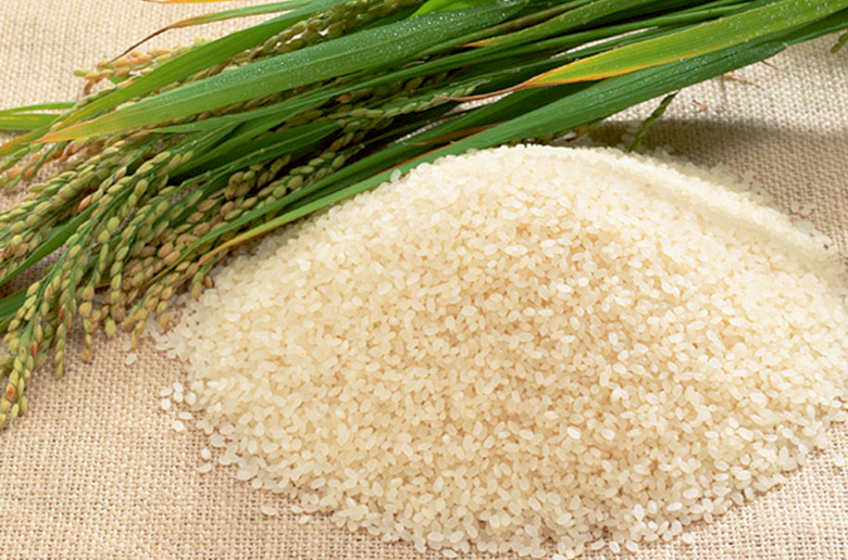 山形県が10年の歳月をかけて開発したつや姫
全国食味ランキングで10年連続「特A」を獲得中