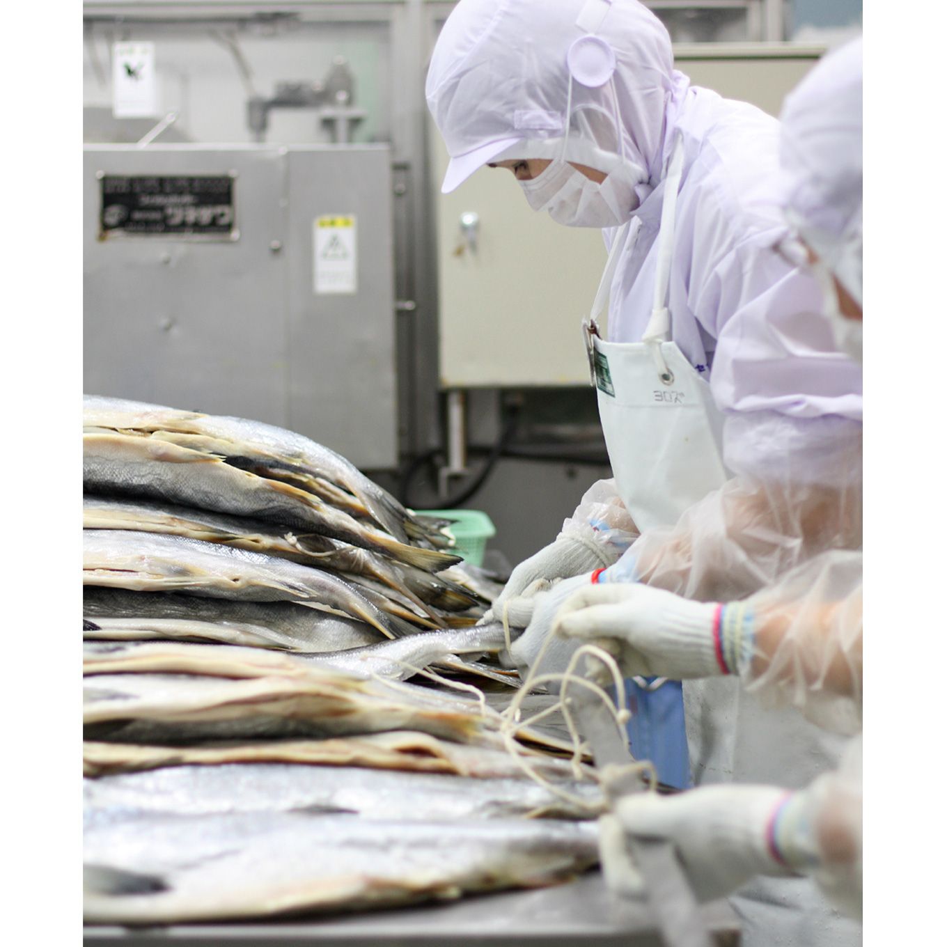 グリーン住宅ポイント北海道認証 14日間熟成 新巻鮭 姿切身イメージ