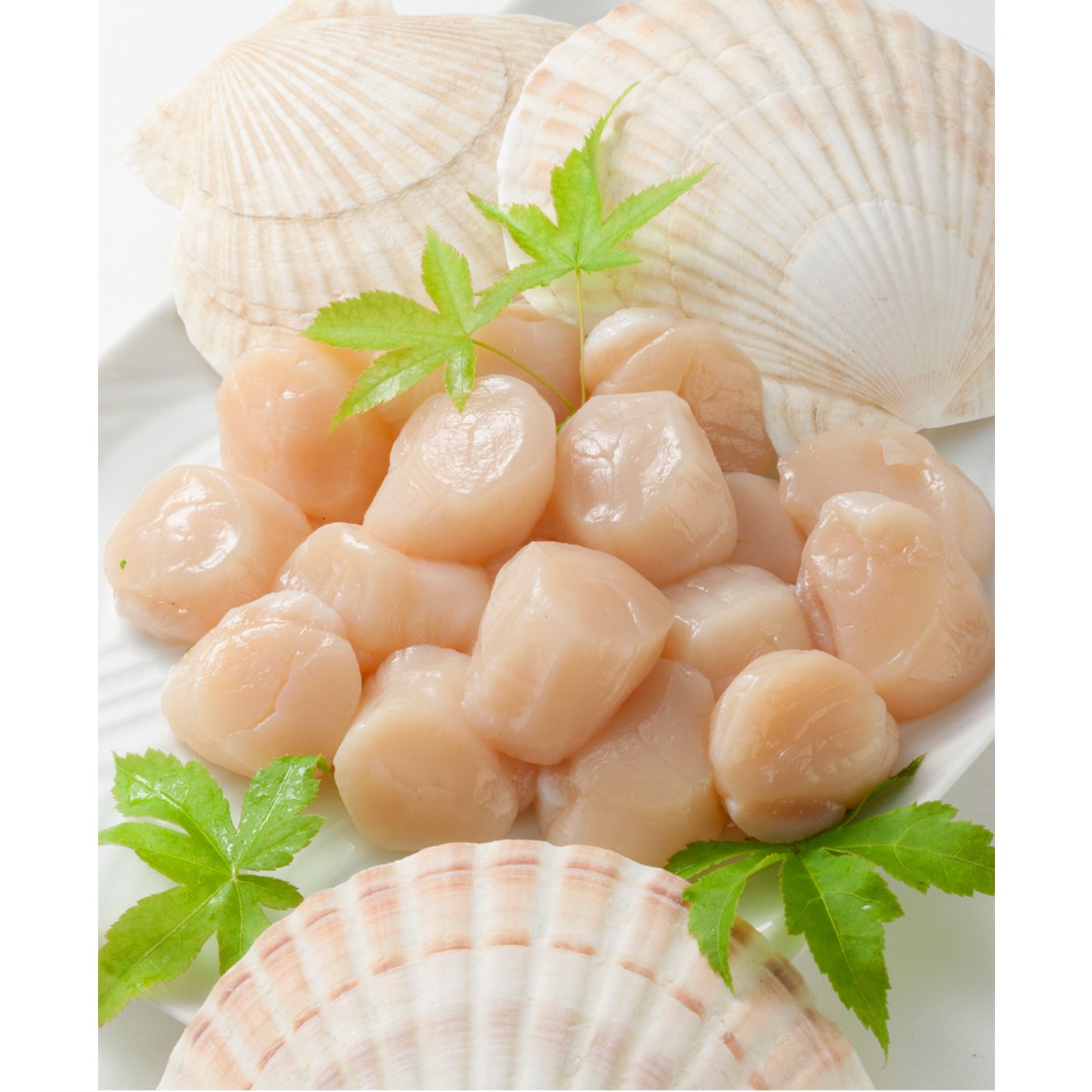 グリーン住宅ポイント北海道猿払産 プレミアムほたて貝柱 800gイメージ