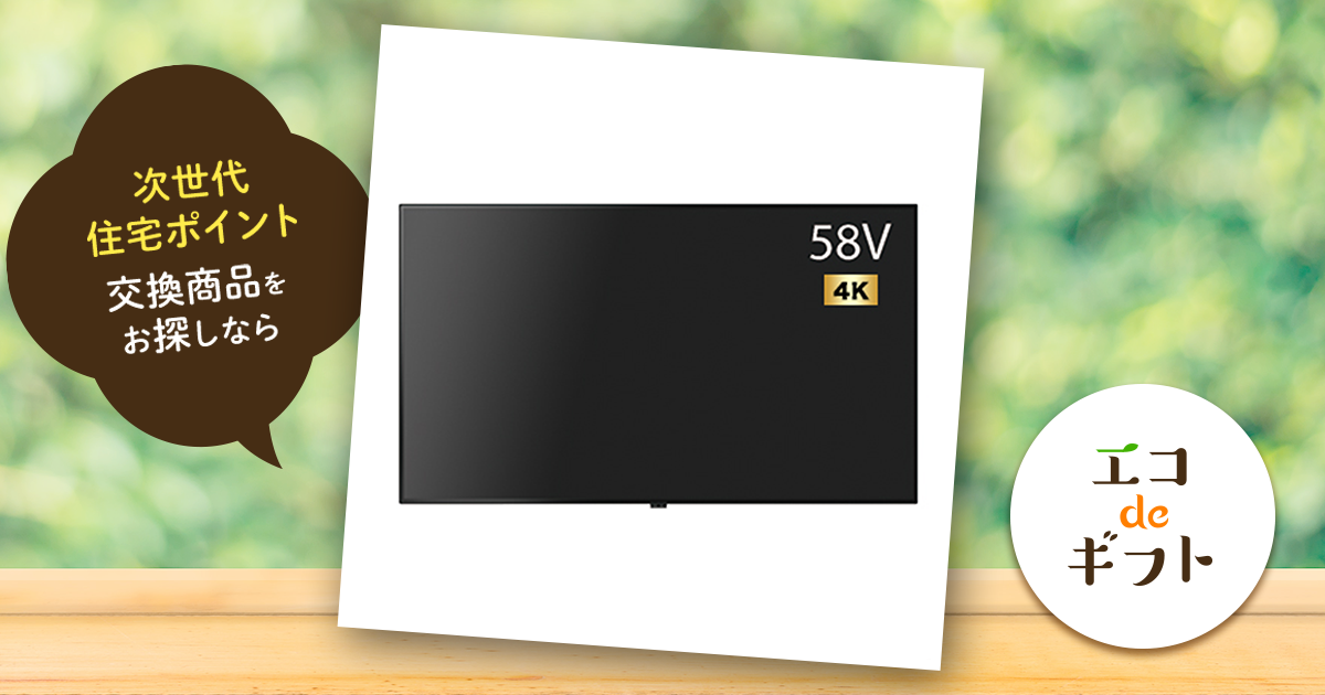 三菱 58インチ 液晶テレビ 2019年モデル DSM-58E9-SL 三菱電機 【カンタンサイネージ】DSM-58E9-SL 58V型 4K液晶