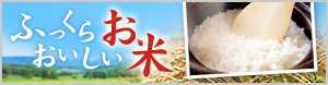 米の有名産地からおいしい銘柄米を厳選！ふっくらおいしい銘柄米