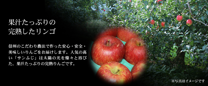 信州りんご「サンふじ」
