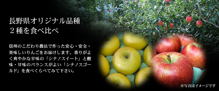 信州りんご食べくらべセット10kg