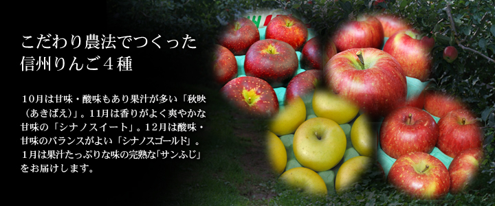 信州りんごの頒布会