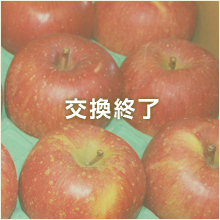 信州りんご「サンふじ」