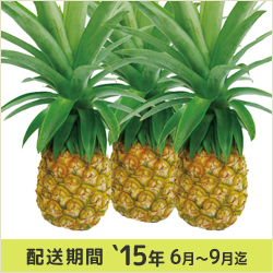 石垣島産パイナップル約3kg(3玉)